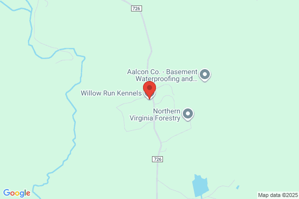 Willow Run Kennels