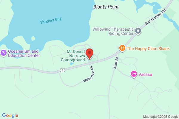 Mt Desert Narrows Campground