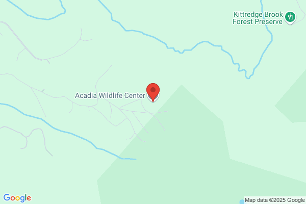 Acadia Wildlife Foundation
