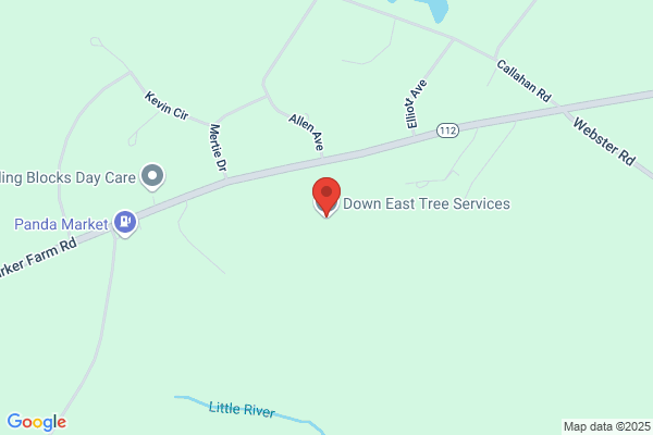 Down East Tree Services