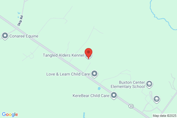 Maranatha Labradors & Grooming Kennels