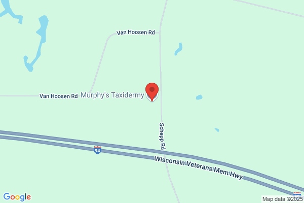 Murphys Taxidermy