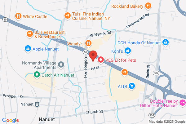 Advance Auto Parts