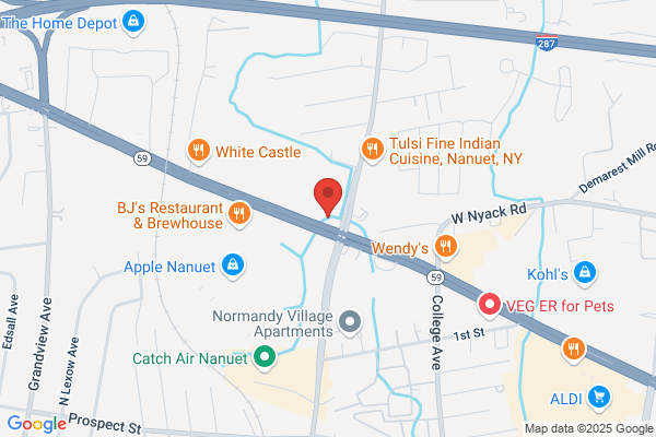 Shake Shack Nanuet