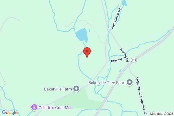 Farmington Valley Rare Coin & Investment Co Inc