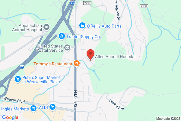 Allen Animal Hospital