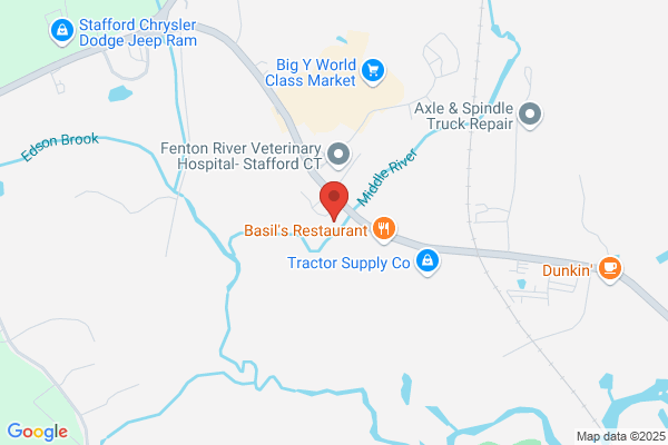 Stafford Dental Llc
