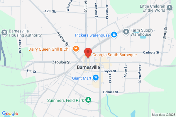 Georgia South Barbeque