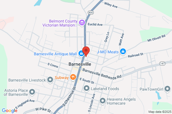 Barnesville Veterinary Services Inc