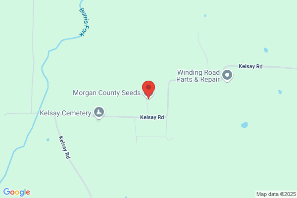 Morgan County Seeds