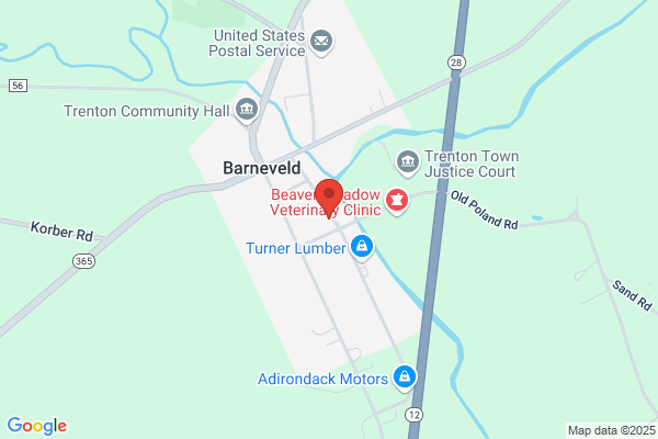 Barneveld Family Chiropractic