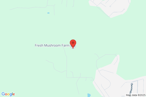 Fresh Mushroom Farm
