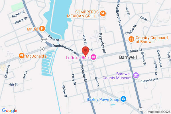 Barnwell County Government, Auditor