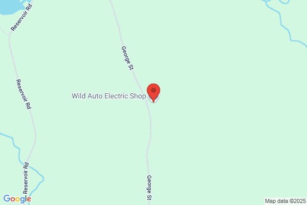 Wild Auto Electric Shop