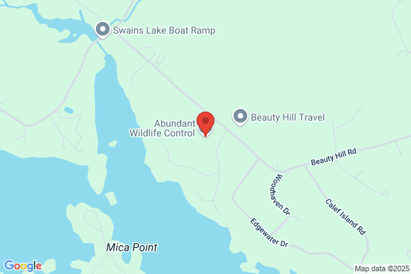Abundant Wildlife Services