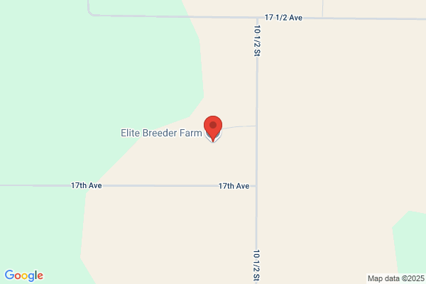 Elite Breeder Farm