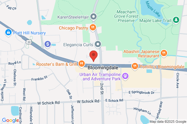 Pure Dental Spa Bloomingdale