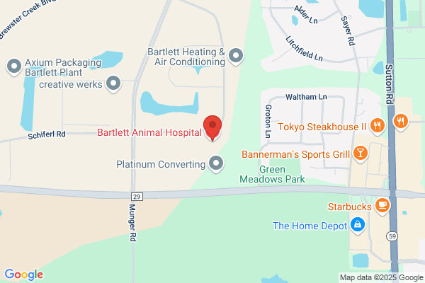 Bartlett Animal Hospital