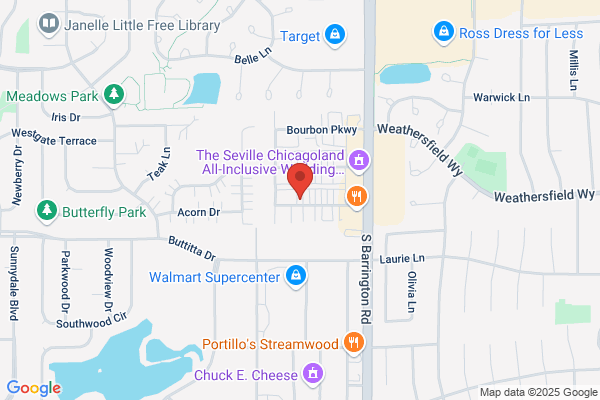 Secure Systems Inc