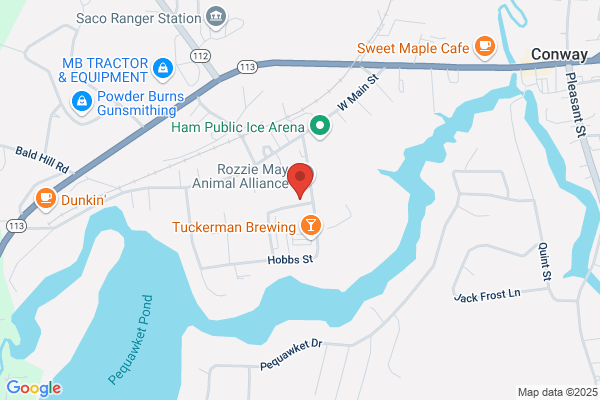 Ammonoosuc Survey Company Inc
