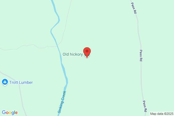 A-Direct Appliance Repair