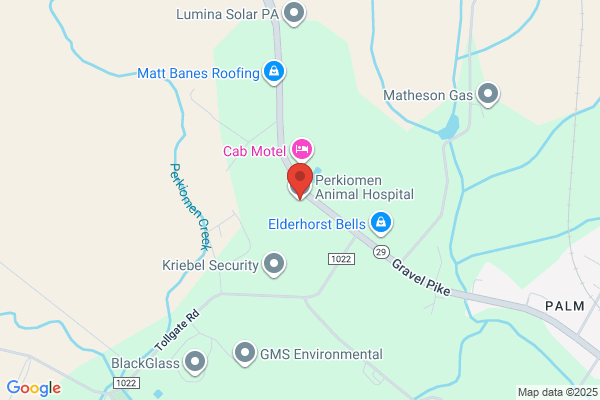 Perkiomen Animal Hospital