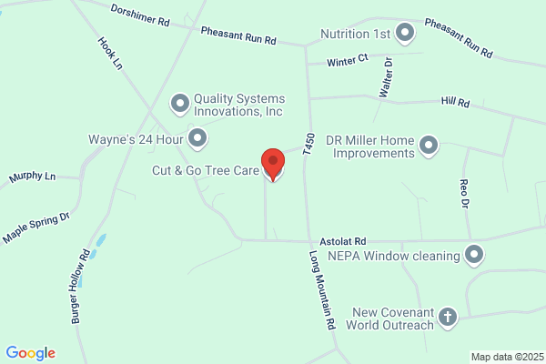 Cut & Go Tree Care