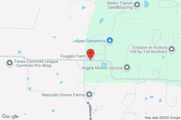 Foxglen