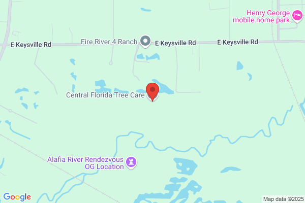 Tree Service of Central Florida