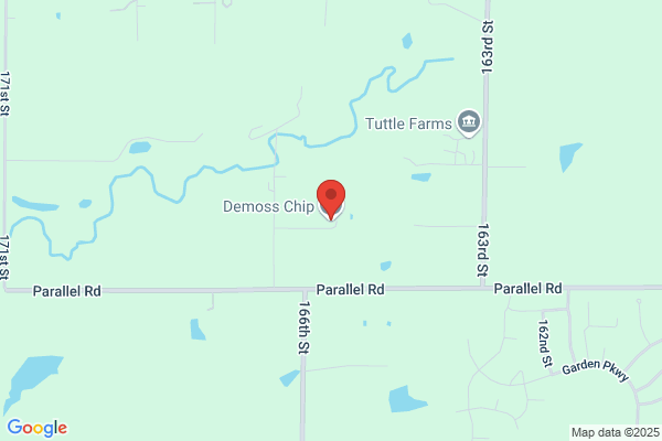 Demoss Chip