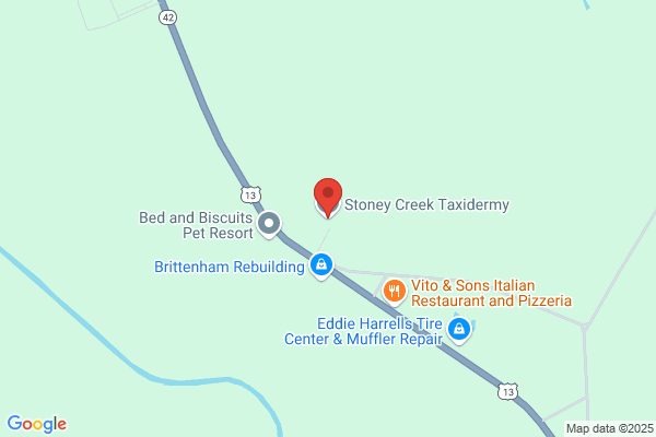 Eastland Creek Taxidermy