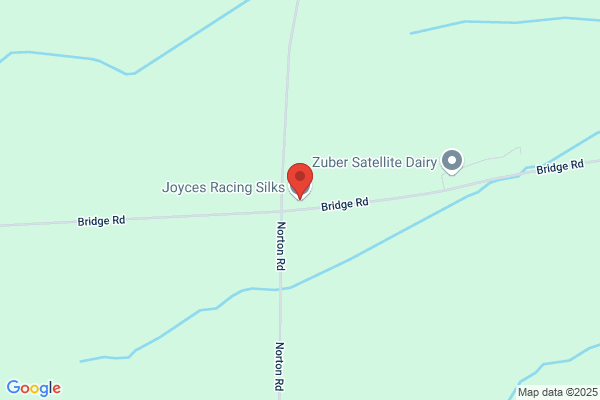Joyce's Racing Silks