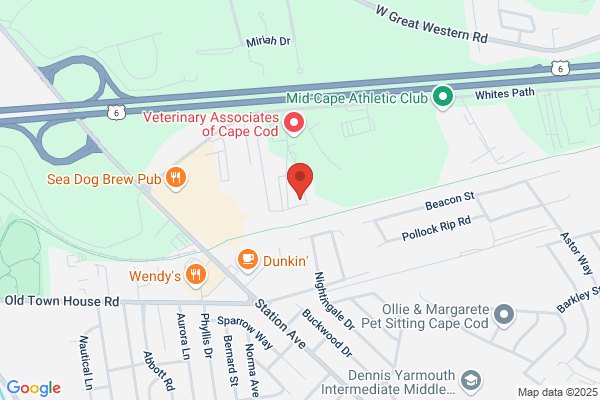 Nauset Inc