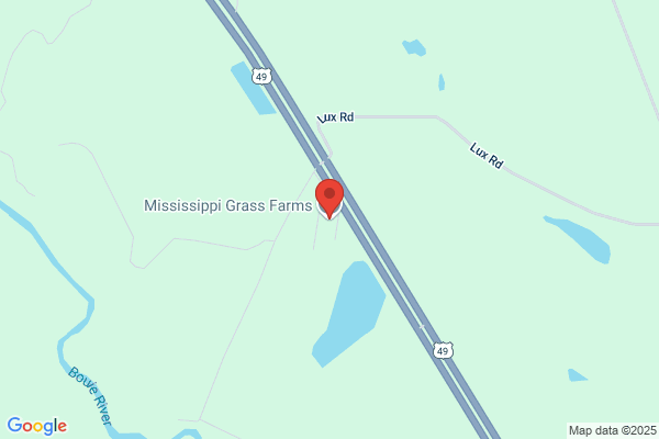 Mississippi Turf