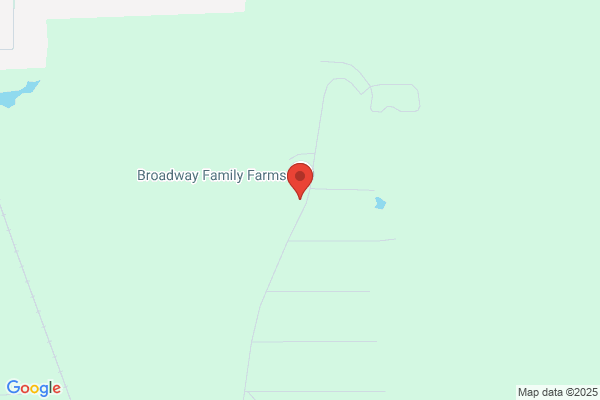 Broadway Fabrics