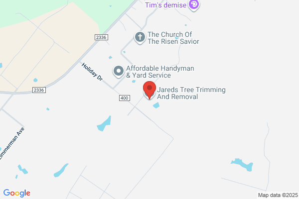 Hendry's Tree & Stump Removal