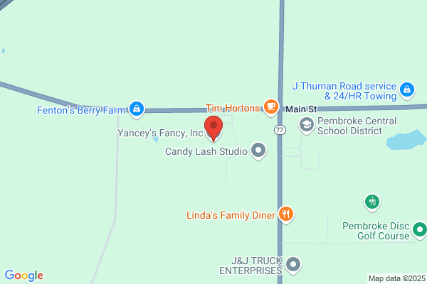 Yancy's Fancy