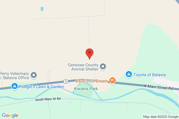Batavia Town of, Town Clerk