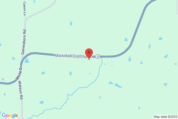 Williams Mark A