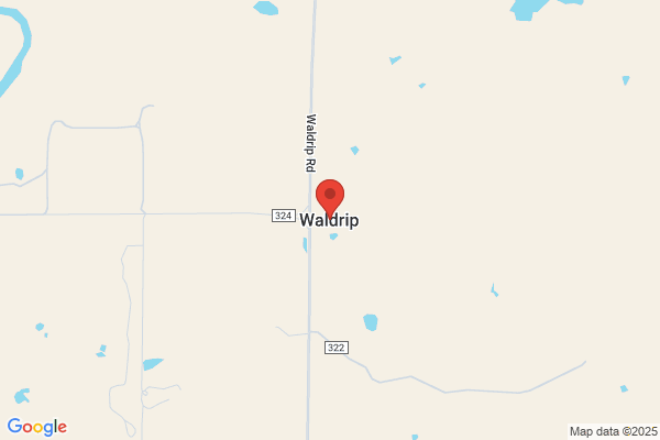 Waldrip William J