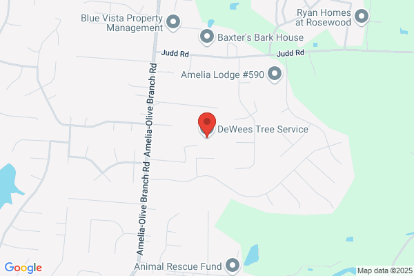 Dewees Tree Service