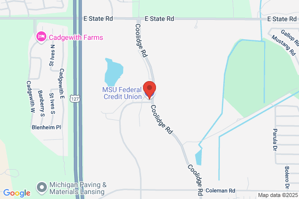 MSU Federal Credit Union
