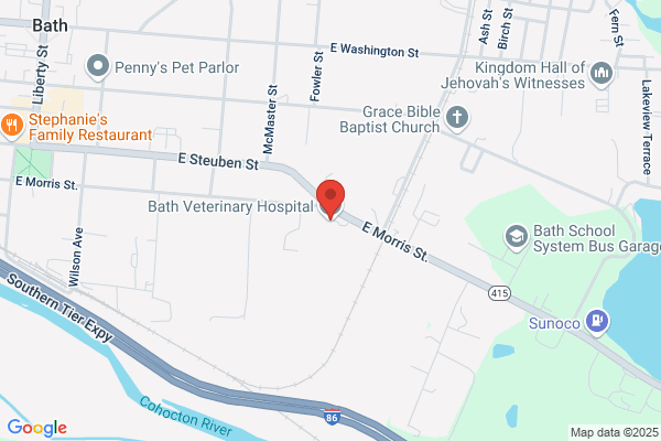 Bath Veterinary Hospital