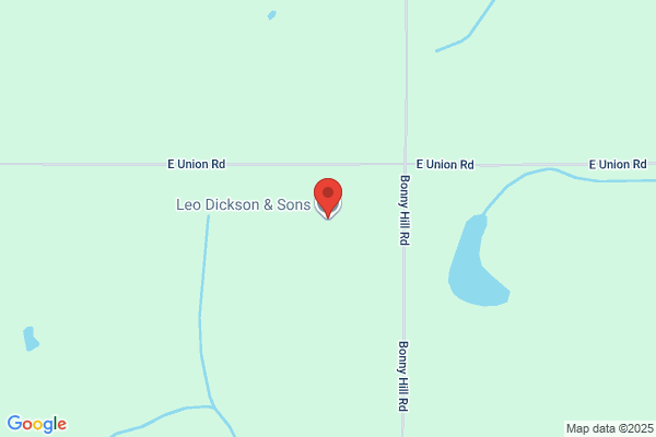 Dickson Leo & Sons Inc