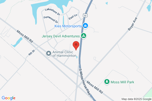 Hammonton Family Practice