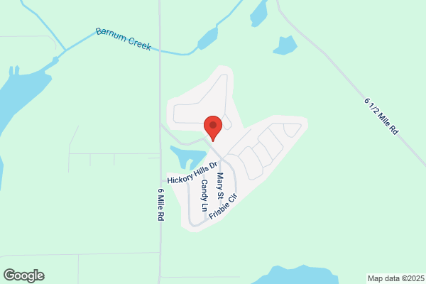 Hickory Hills Village