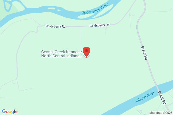 North Central Indiana Spay & Neuter