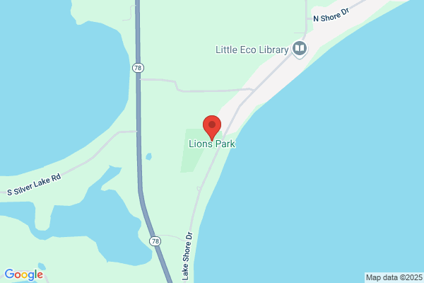 Lion On Lake