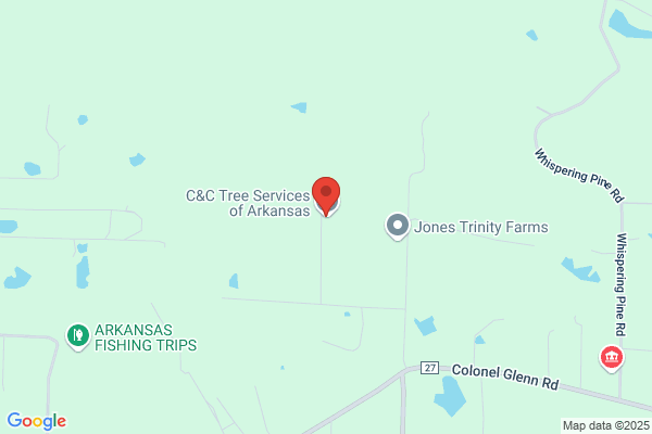 C & C Tree Service