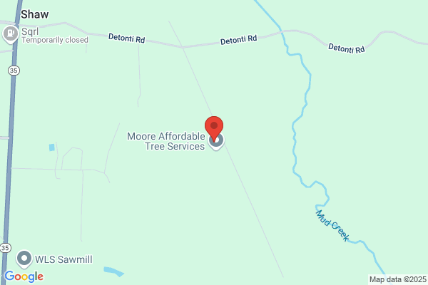 Moore Affordable Tree Service